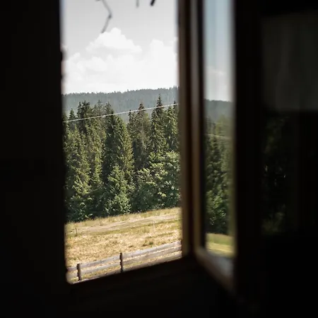 Alpejska Szarotka Dom wakacyjny Nowe Bystre